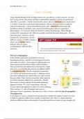 AP-Biology - unit five - Heredity