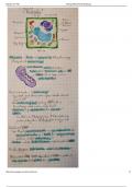 Biology Notes - Mitochondria