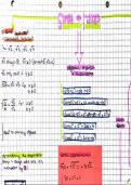 Summary Cambridge Additional Mathematics IGCSE® (0606) - Surds, Indices and exponentials  