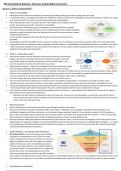 Summary Sustainability Economics- 3BA: International Business