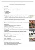 Samenvatting : Contextualiseren 4B : culturele themas en vormgeving