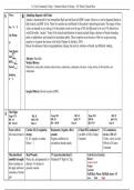 Care Plan Clinical Data Sheet Anemia