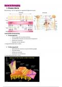 SV DARM + SLOKDARM + GERD + RADIOLOGIE