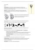 Samenvatting - Cancer biology (BIOMRE09/course 10)