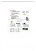 Bio 202 - Diversity of life Comprehensive notes 