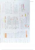 All Paper 1 Computing Notes GCSE OCR 