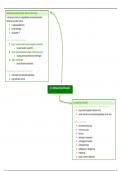 Schema's Community Based Werken 3de BACH Orthopedagogie HoGent