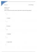 ANATOMY SCIN 132 quiz 4