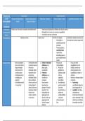 Schema theorieën sociale rechtvaardigheid