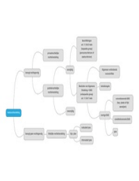 Mindmap bestuurshandelingen