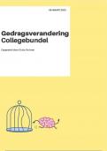 De officiele gedragsbeïnvloeding collegebundel