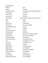 Latijnse namen H1 Splanchnologie