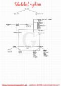 SHORT AND BEAUTIFUL MINDMAP ON SKELETAL SYSTEM AND TOTALY BASED ON NCERT