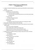 Anatomy + Physiology: Chapter 4: Body Tissues and Membranes 