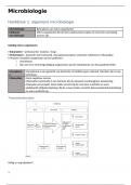 Microbiologie - Verpleegkunde Thomas More Lier (D. Volckaerts)