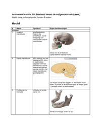 Anatomie in vivo hoofd, romp, schoudergordel, handen & voeten