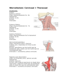 lp21 Wervelkolom Cervicaal + Thoracaal