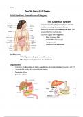 GI disorders 