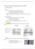 Summary - Respiratorische en internistische revalidatie (L04A4B) - deel Janssens