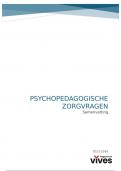 Samenvatting -  Psychopedagogische zorgvragen