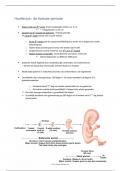 Samenvatting embryologie hoofdstuk: foetale periode