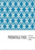 Prenatale fase