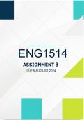 ENG1514 ASSIGNMENT 3 2024