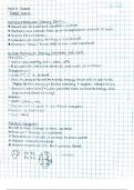 Chemistry Unit 8 Gases Notes