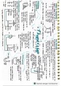 Summary -  Physics: Pressure