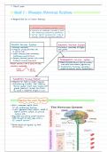 PYC1501_Unit 1 - Human Nervous system summarised notes