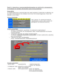 Samenvatting I&A deel 2