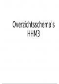 Overzichtsschema's hoorhulpmiddelen 3