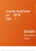 L 2 EVALUATING NURSING THEORIES ppt for L100