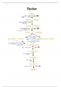 Fiches PASS UE1 Biochimie Montpellier