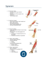 Spieren hand en onderarm