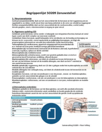 Samenvatting Zenuwstelsel