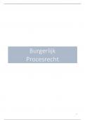 Burgerlijk procesrecht: samenvatting van slides + lesnotites + cursus