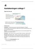 Gedetailleerde COLLEGE-AANTEKENINGEN Orthopedagogiek: Gezinsfactoren