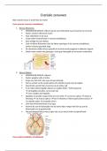 Samenvatting 12 craniale zenuwen 