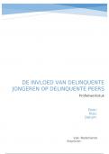 Profielwerkstuk Nederlands | Invloed van delinquente jongeren op delinquente peers | Cijfer: 8.5 | VWO