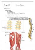 Biologie - hoofdstuk 4 - paragraaf 5 - de wervelkolom - samenvatting