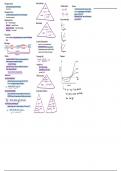 Chapter 1, Stoichiometry (IB Chemistry)