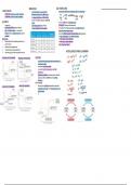 Chapter 8 & 18, Acids & Bases (IB Chemistry)