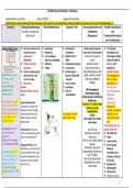 NR 325 Endocrine Disorders – Worksheet.