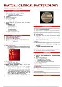 Clinical Microbiology Anaerobic gram positive bacilli