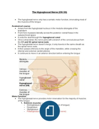 Bundle Doc Image