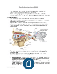 Bundle Doc Image