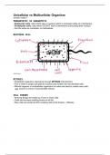 Year 9 Unicellular vs Multicellular Organism Class Notes