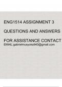 ENG1514 Assignment 3 2024(Accurate answers)