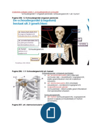 Samenvatting anatomie gewrichten 